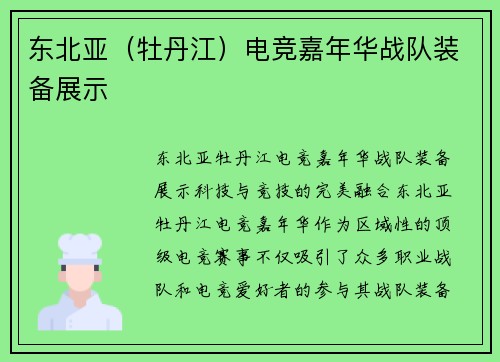 东北亚（牡丹江）电竞嘉年华战队装备展示