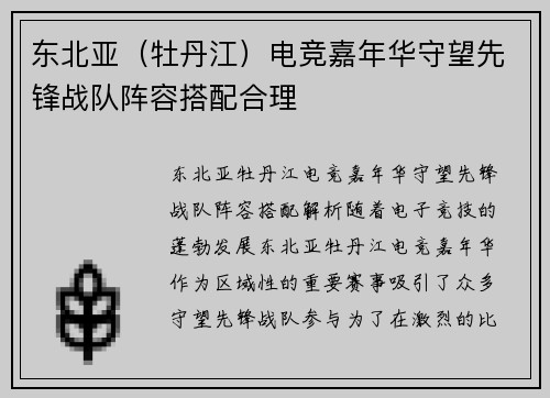 东北亚（牡丹江）电竞嘉年华守望先锋战队阵容搭配合理